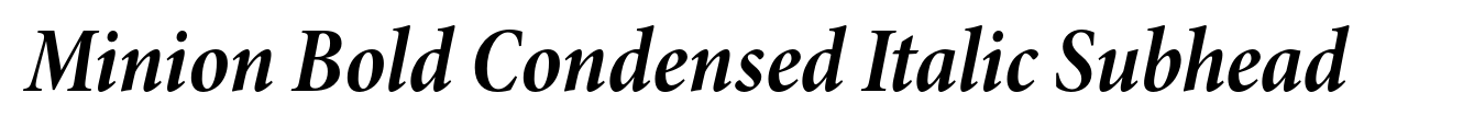 Minion Bold Condensed Italic Subhead image